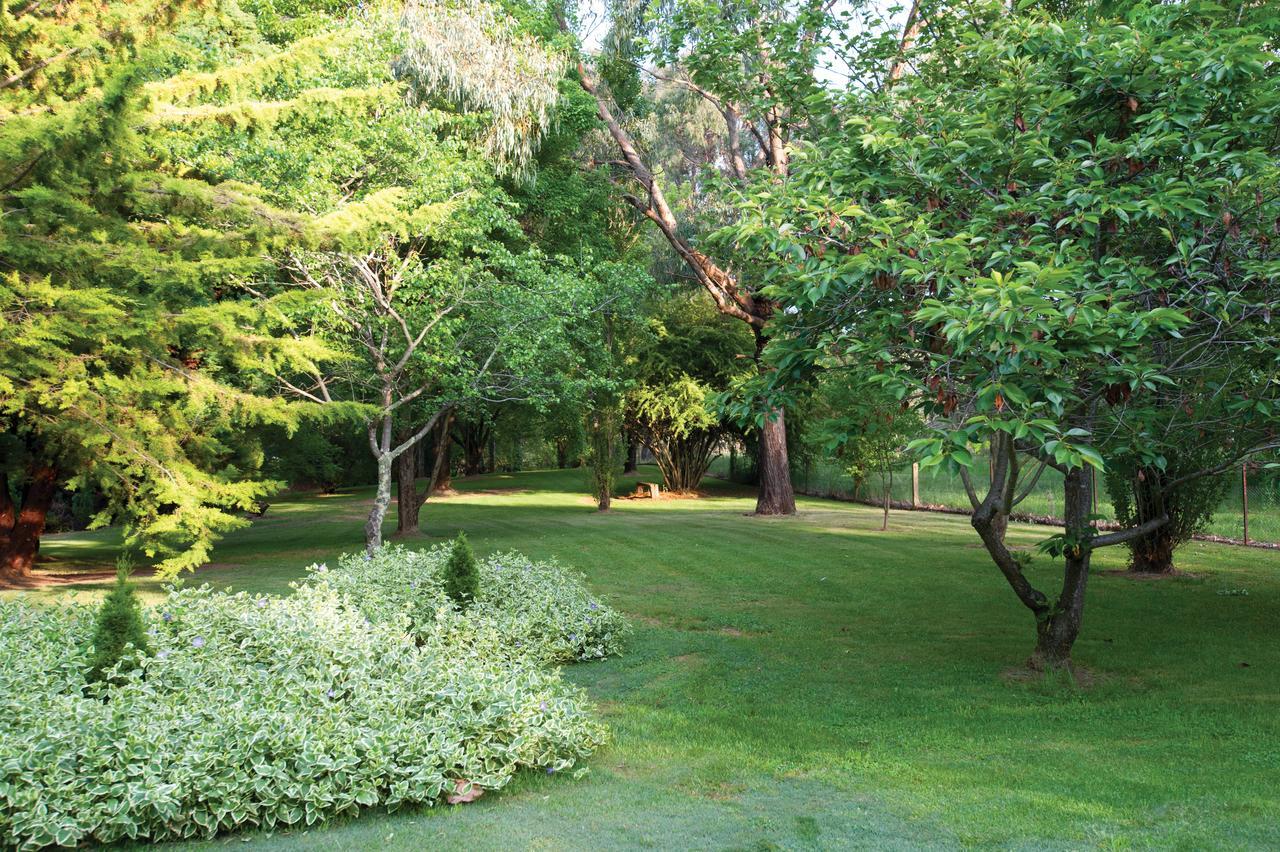 Clifton Gardens Bed & Breakfast - Orange Eksteriør billede